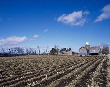 Agriculture rows plowed photo