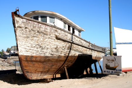 The Ark is Ready