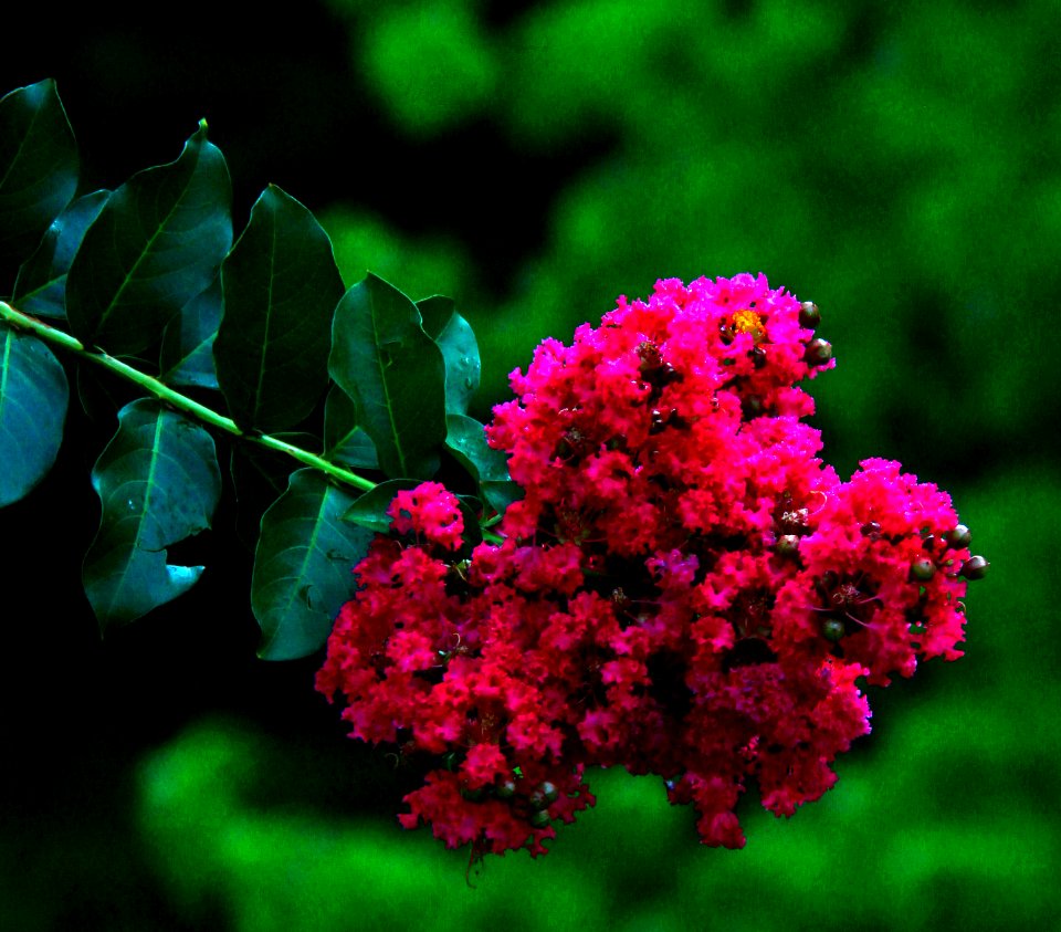 Deep Color & Detail