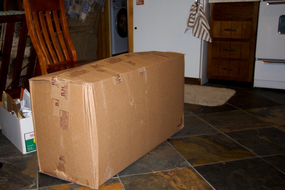 Did I order a new Fridge?