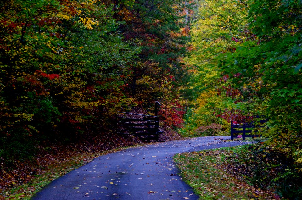 Colorfull Entrance