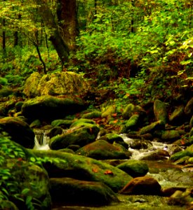 Early Fall In The Mountains photo