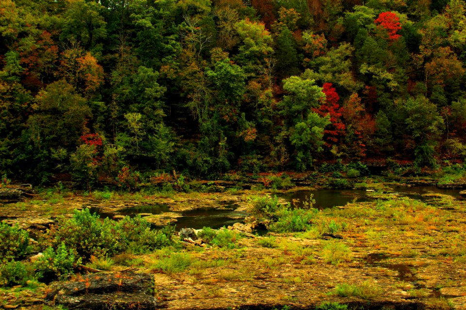 Fall Color  Caney Fork River