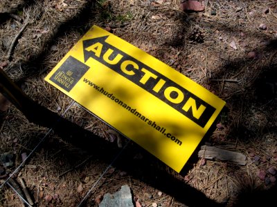 Auction is Grounded