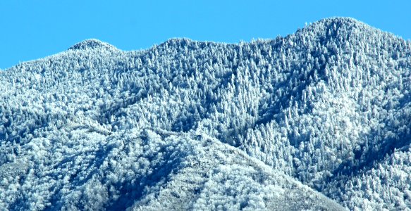 Snow Coated Ridgeline  Smoky Mountains