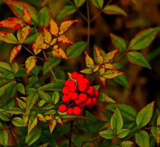 Rich Spring Color