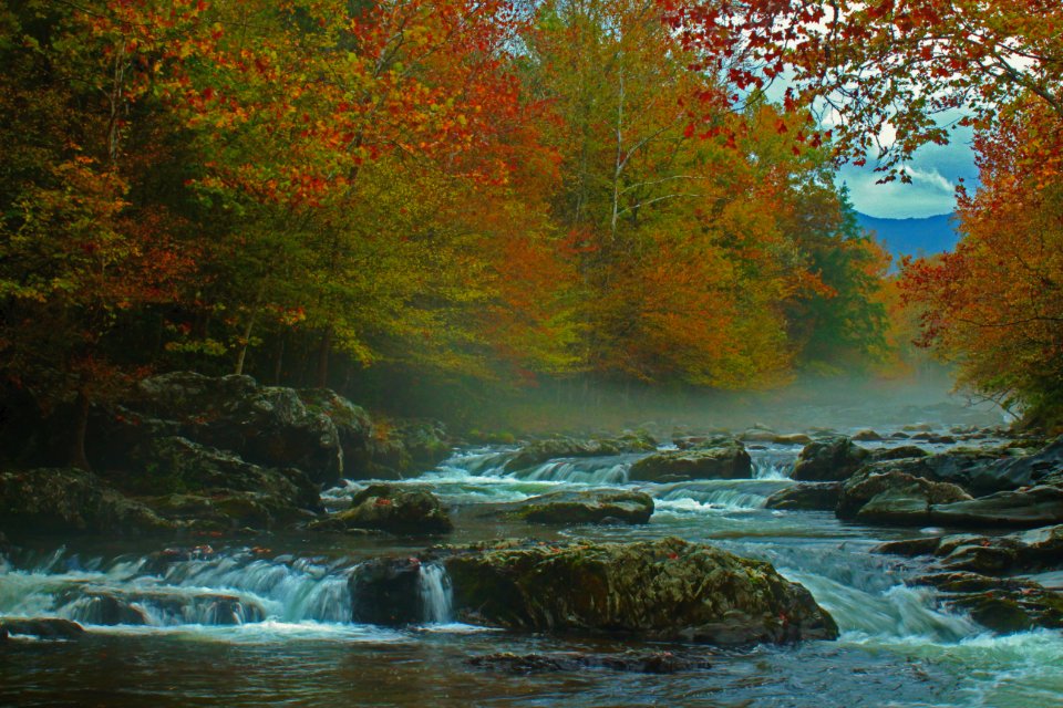 Foggy, Fall, Little Piegeon River