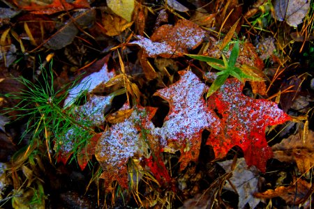 More First Snow