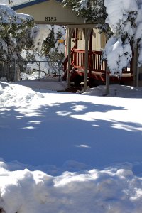 Hey, No One Shoveled My Driveway!
