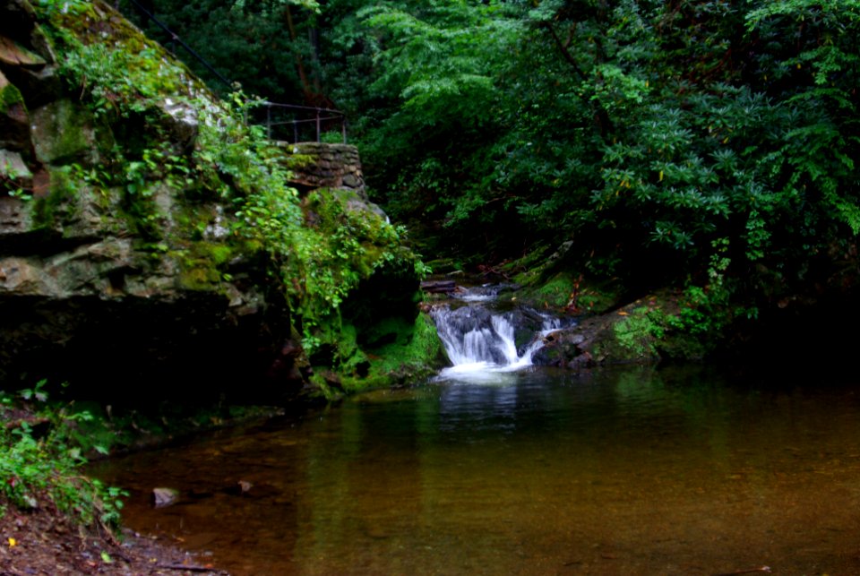 Overlook Lower Falls