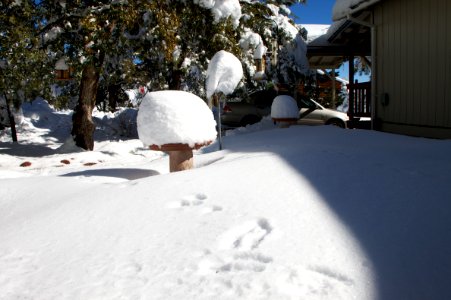 Front Yard Snow Drift