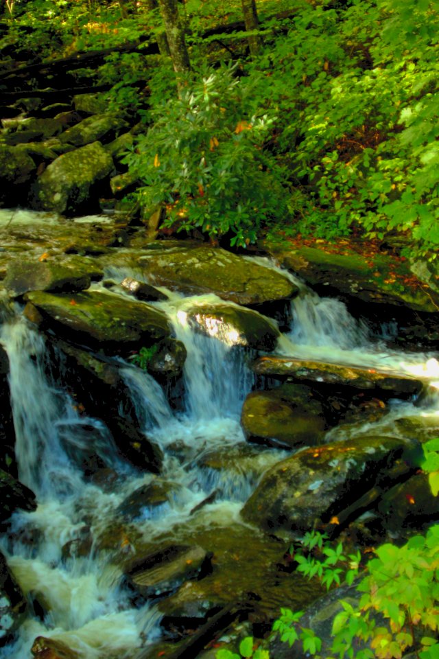 Fall Stream Great Smoky Mountains