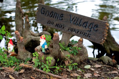 2009/365/269 Leave the Gnomes Alone