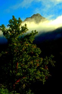 Chimney Tops 2 (Vertical)  Great Smoky Mountains