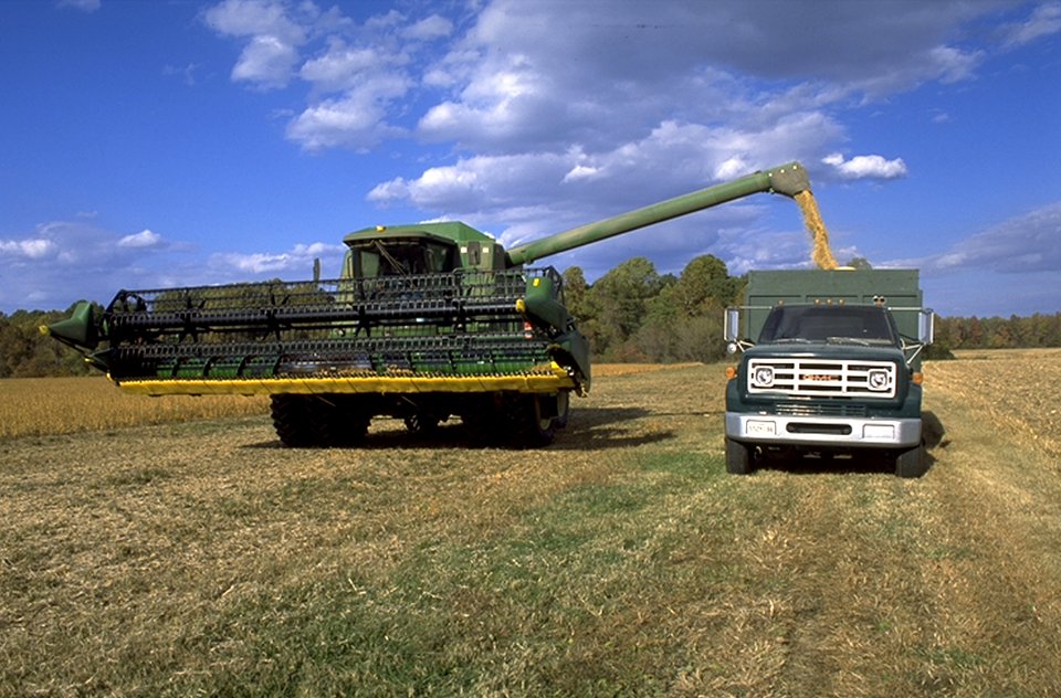 01cs1555