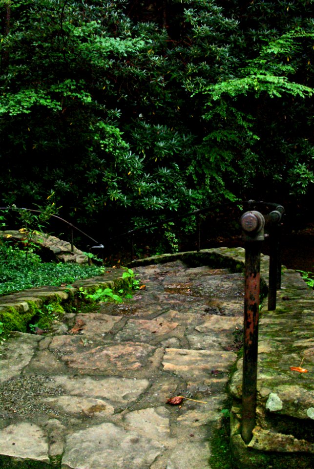 Civilian Conservation Corps Stone Steps