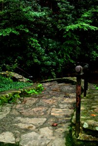 Civilian Conservation Corps Stone Steps