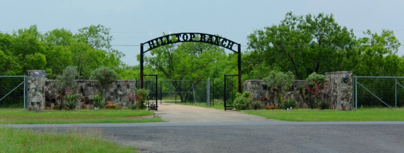 Typical Texas Driveway