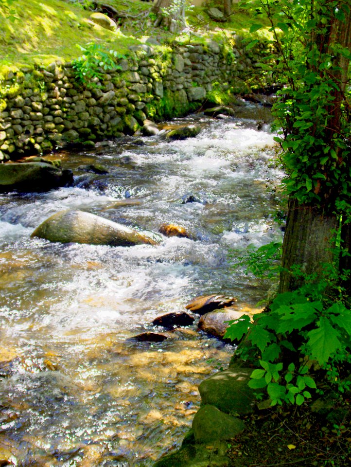 Smoky Mountain Stream CCC Rock Wall