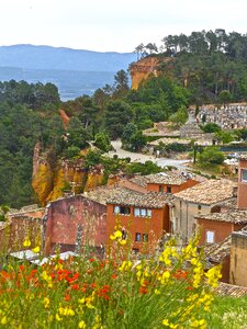 Rooftops flowers blooming