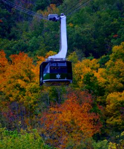 My Job   (Arial Tram Manager Ober Gatlinburg)