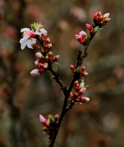 Random Acts Of Senseless Beauty 2
