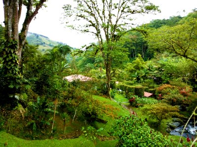 Hide house in the Paradise