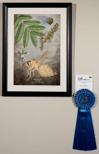 20170414-OC-LSC-0121