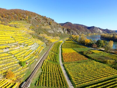Germany cultural viticulture