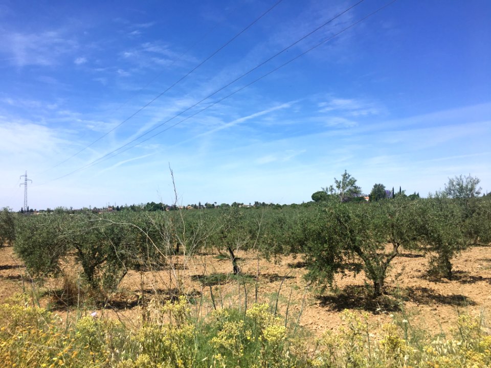 Valencina de la Concepción (Sevilla)
