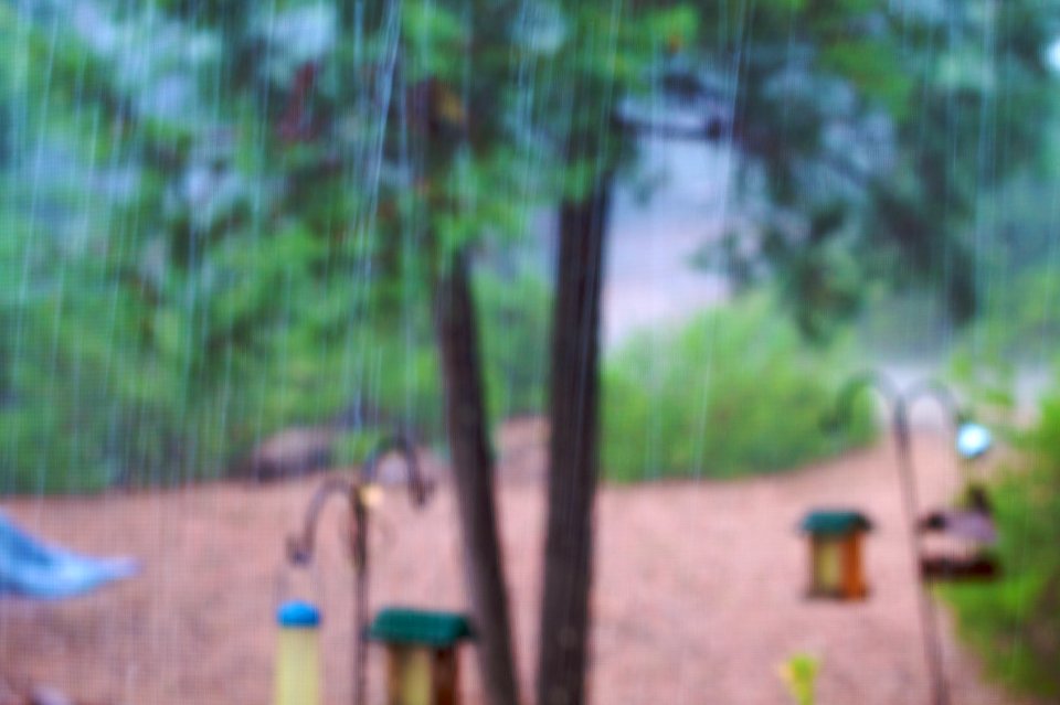 Rain Slow Mo to False Color Series #3