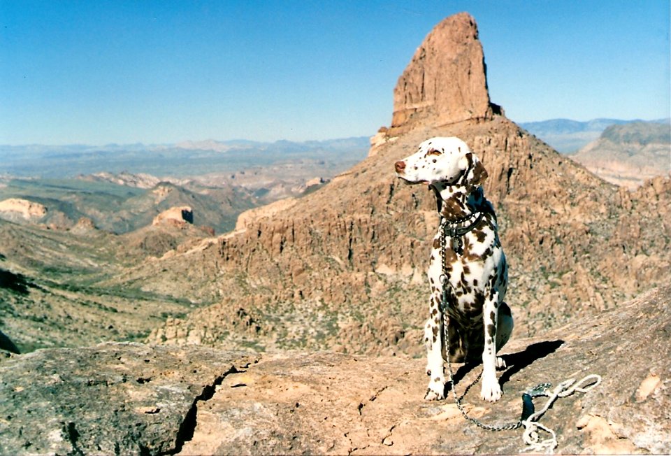 Hiking to See Weavers Needle (1988)