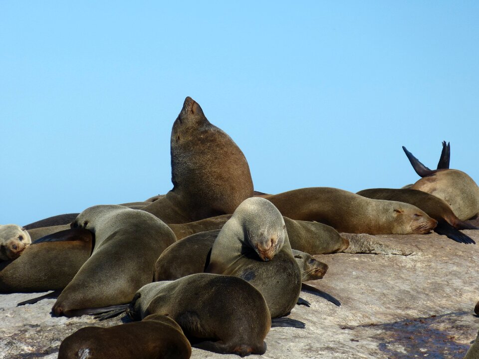 Cape peninsula sea ocean