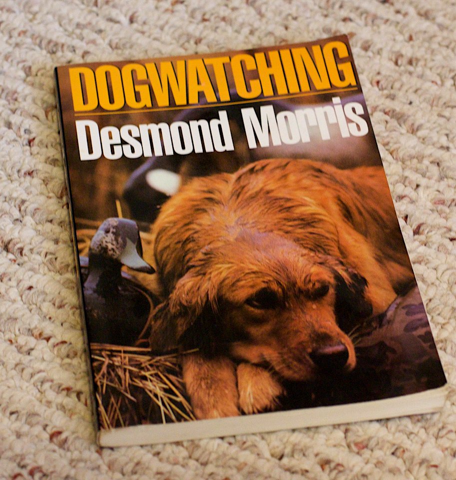 A Book for Shareski