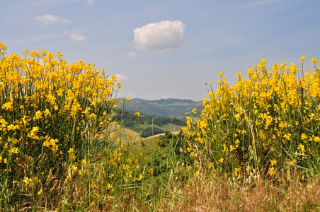 Cloud nature campaign