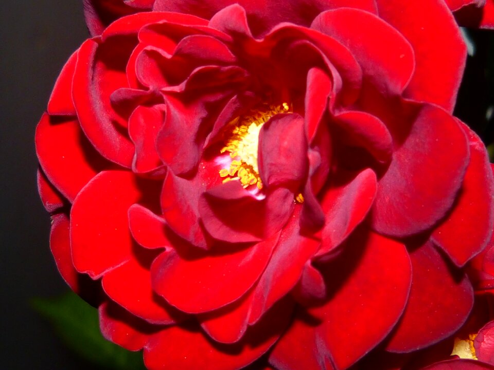 Lighting darkness shadow