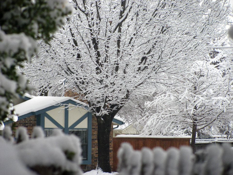 Winter wonderland