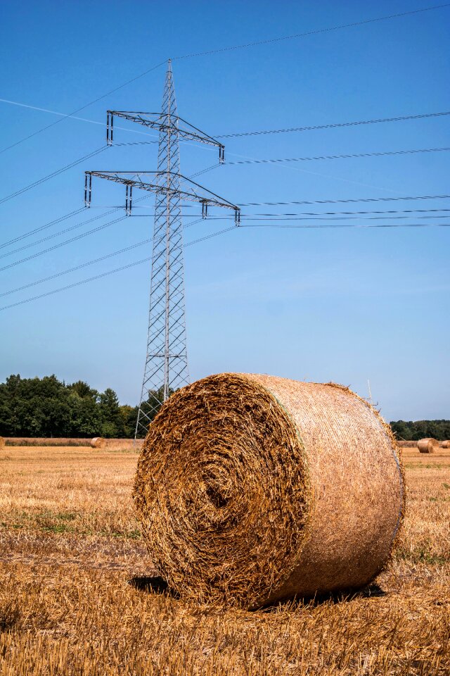 Straw bales field harvest