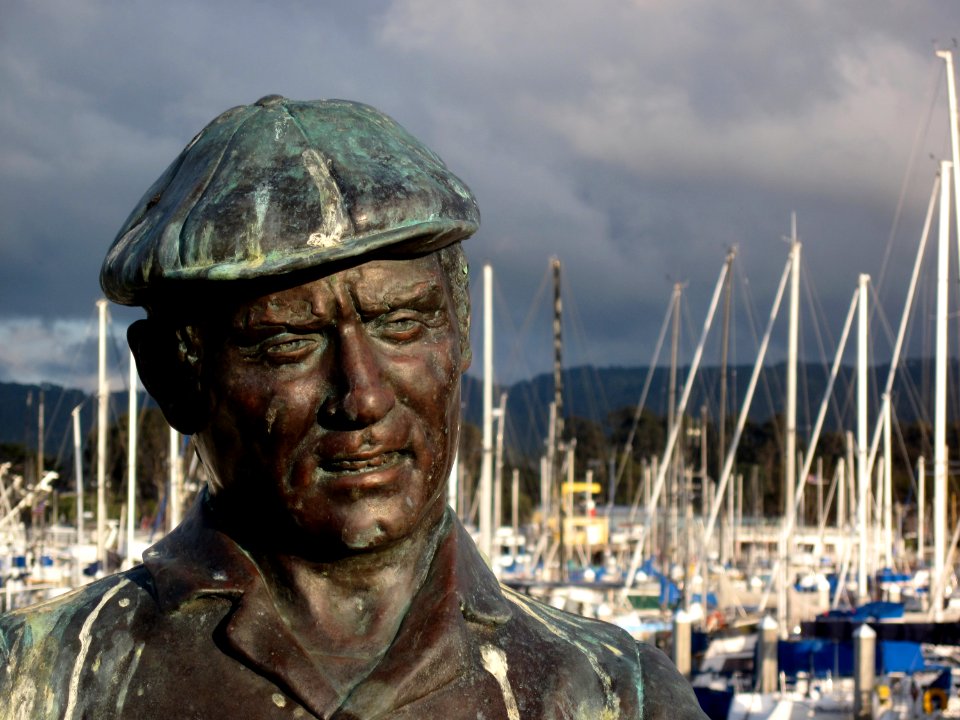 Reflective Thoughts of a Statue?