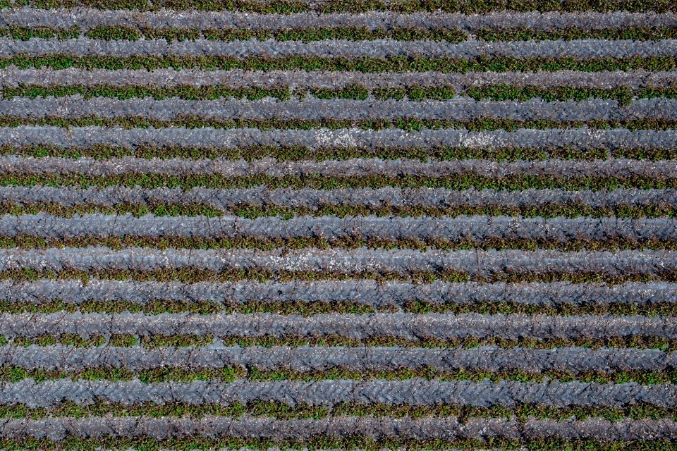 20170919-OC-LSC-1472