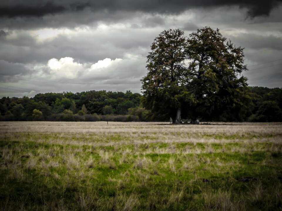 Pasture mood atmosphere
