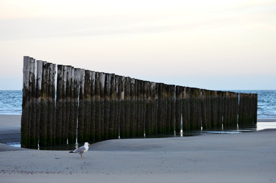 20170801 Beach Burgh Haamstede Zeeland