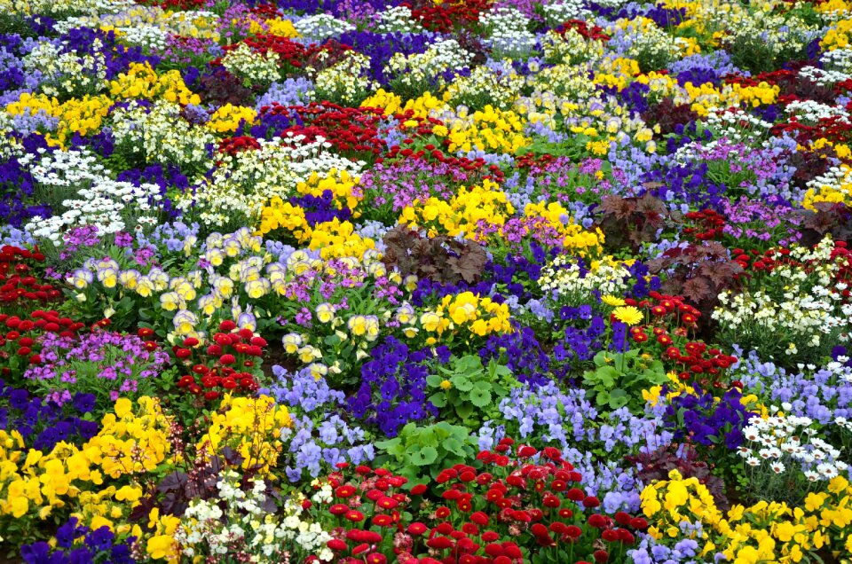 Bed nature multicolored