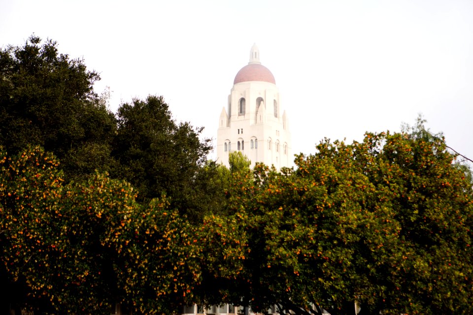 Stanford campus fog, Hoover Tower