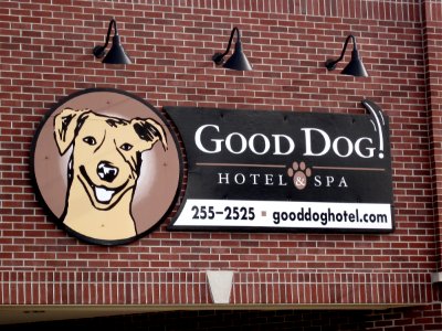 I Found the Best Hotel in Indianapolis