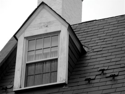 On the Roof