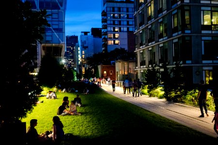 High Line lawn at night photo
