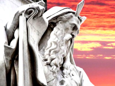 Public Domain Dedication CC0 t5403
