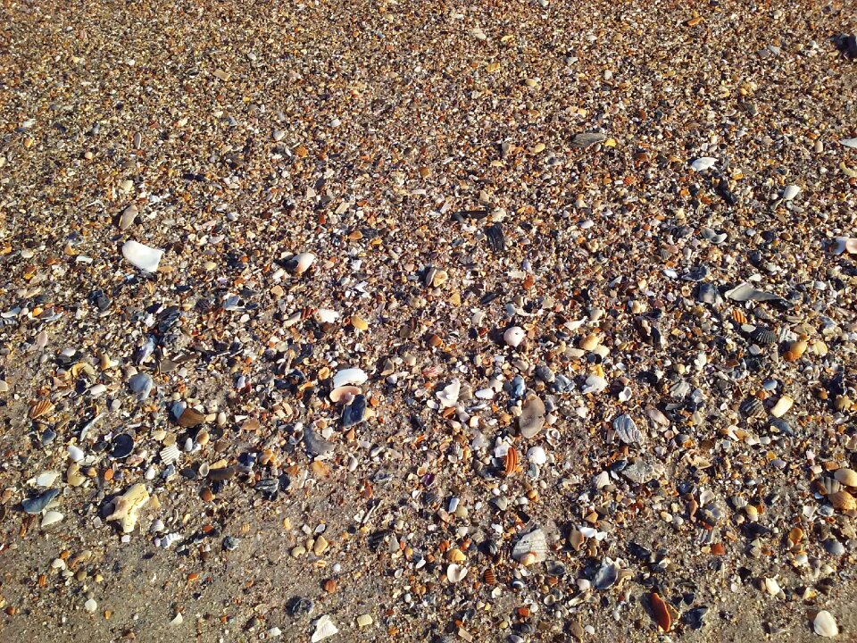 Vacation ocean nature