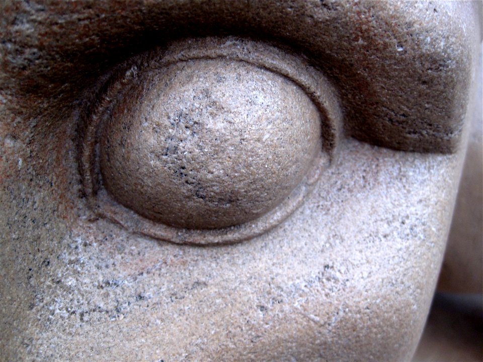 Eye of the Nittany Lion